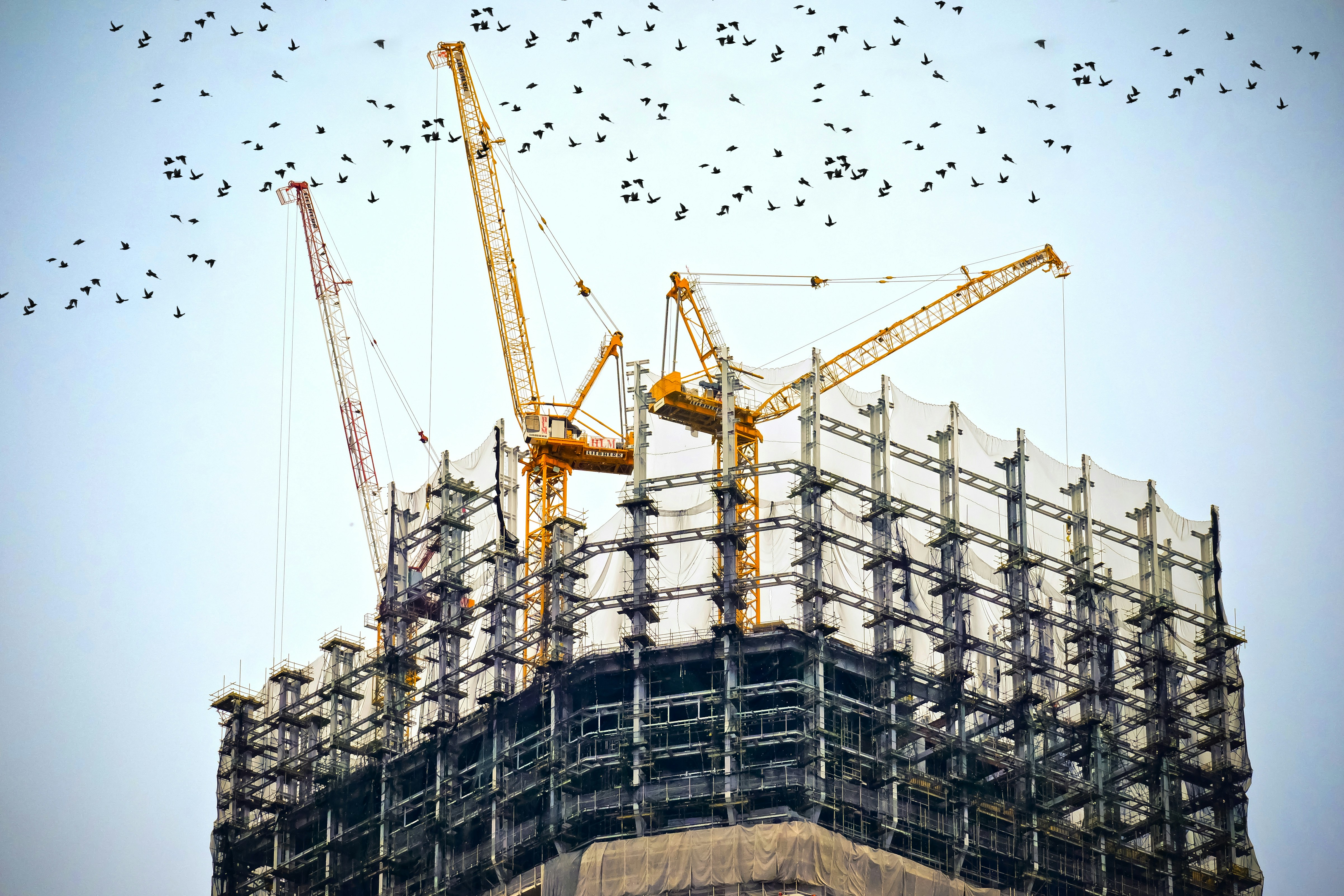 Tower cranes rising over a high-rise building under construction